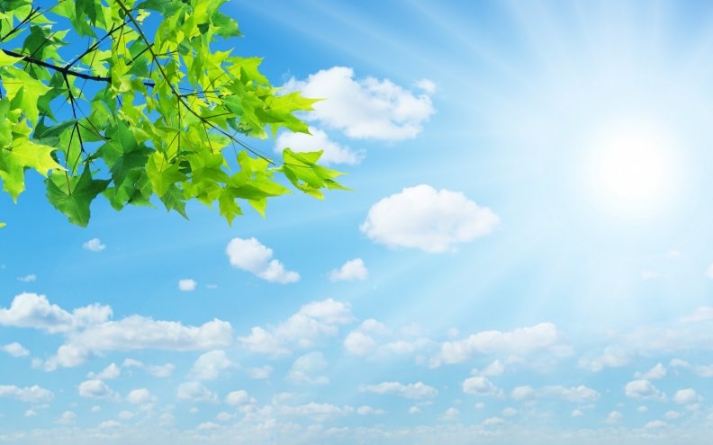 夏日炎炎,热情不减——库为科技始终在您身边